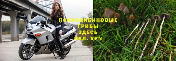 мет Александровское