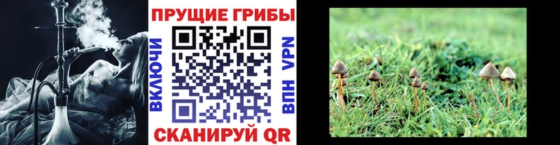 блэк спрут маркетплейс  Шимановск  Галлюциногенные грибы прущие грибы 